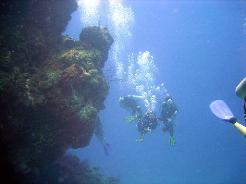 Boat Dive. SCUBA Divers in a wall dive at Cozumel Reef