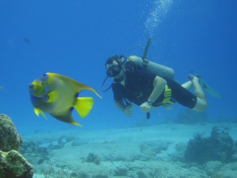 Diver on a Two Tank Dive Trip