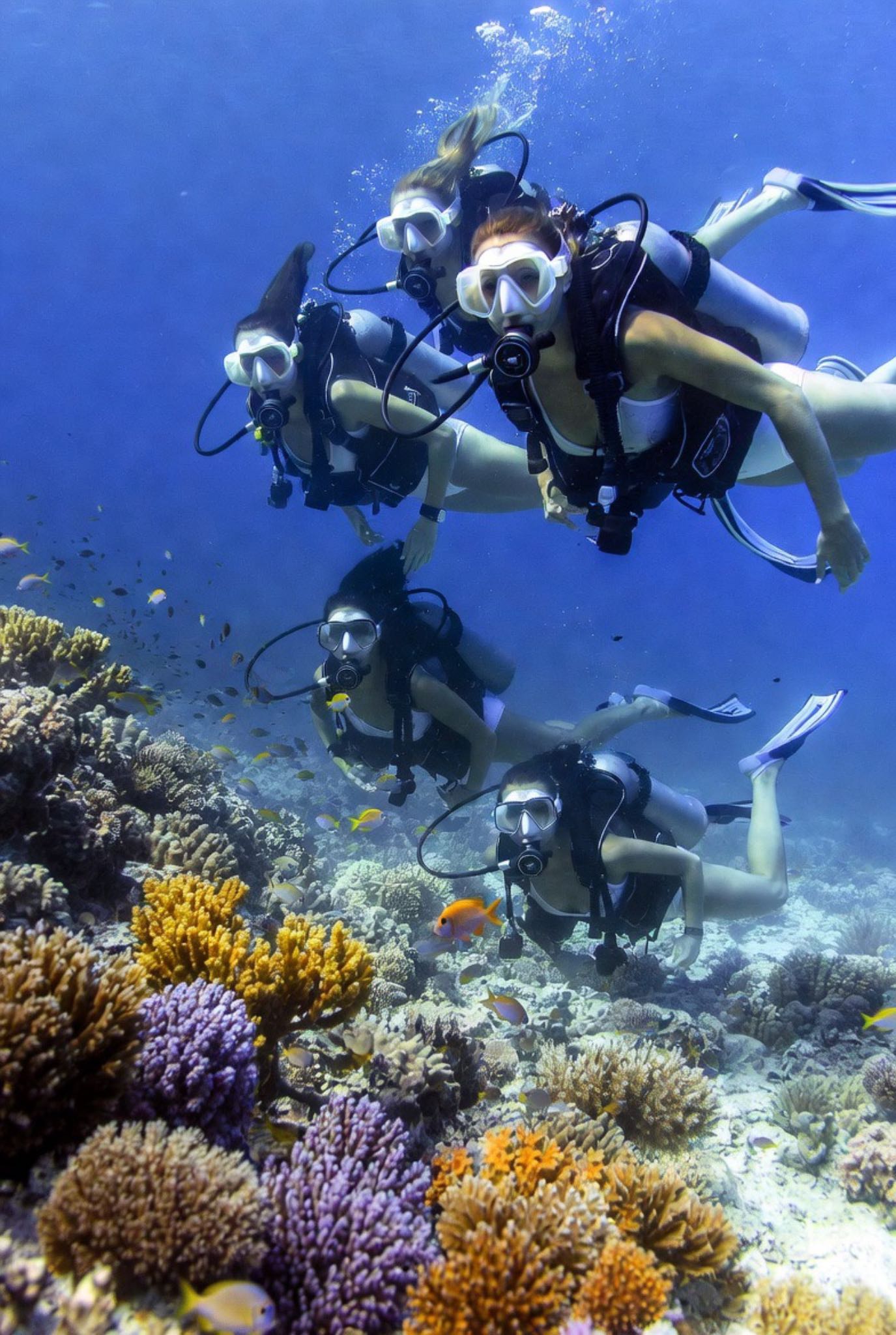 A small group of scuba divers prepared for a one-tank boat dive with Blue Mayan Divers in Cozumel, Mexico.