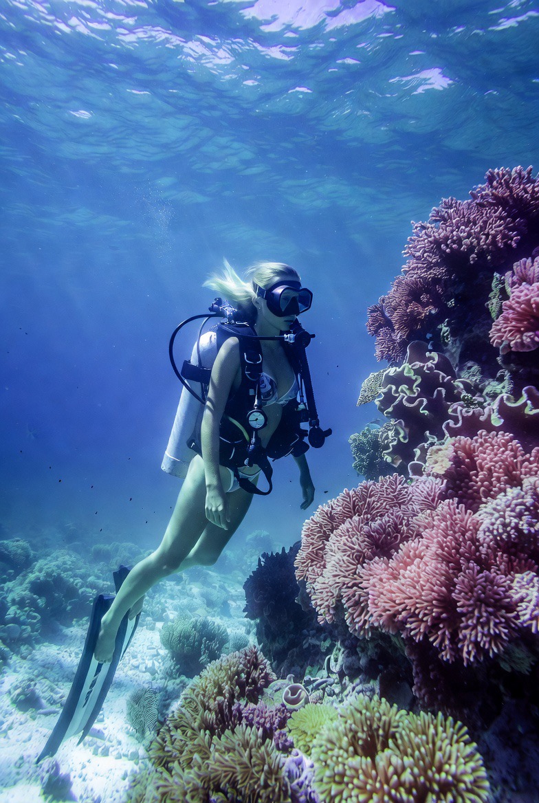 A scuba diver practicing neutral buoyancy over colorful coral formations in Cozumel with Blue Mayan Divers