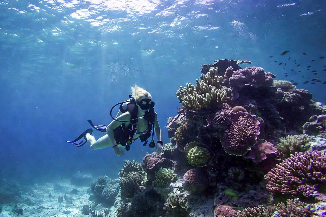 A scuba diver gliding over the vibrant coral mounds and sponges of Paso del Cedral reef in Cozumel, Mexico, during a high-speed drift dive.
